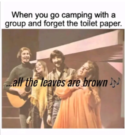 1751310042668.png