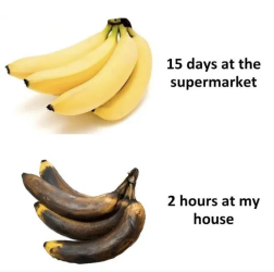 1751310074447.png