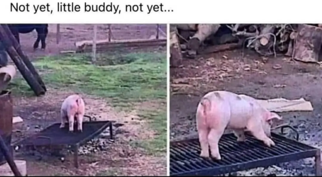 1751310176171.png