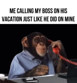 1751369730596.png