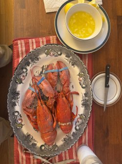IMG_1780.jpeg