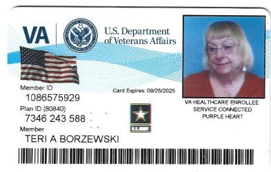 va identification 1.jpg