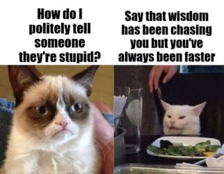 smudge wisdom.jpg