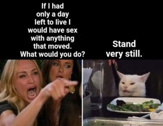 smudge stand still.jpg