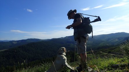 hike.elk.calves.06262025 040.JPG