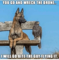 1751465634639.png