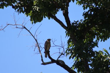 IMG_1635.JPG