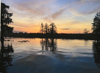 IMG_0521.jpeg