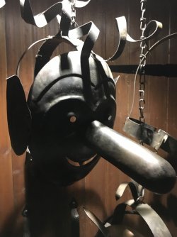 IMG_2330.jpeg