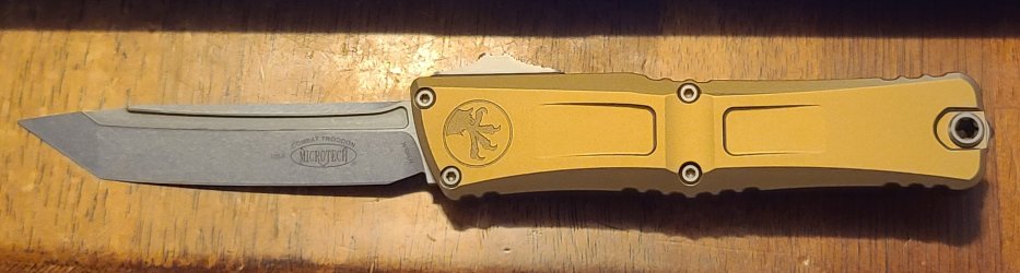 Combat Troodon Gen3.jpg