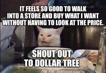 smudge dollar tree.jpg