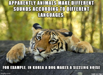 1751555362240.png
