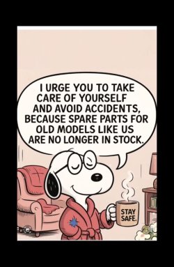 snoopy spare parts.jpg