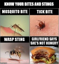bites.jpg