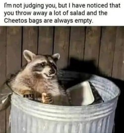 salad cheetos.jpg
