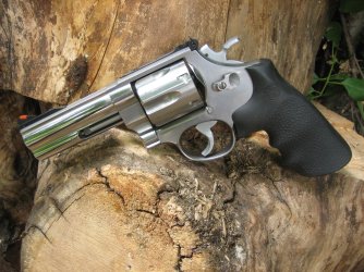 629 metal sights left small.JPG