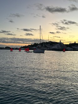 IMG_0808.jpeg