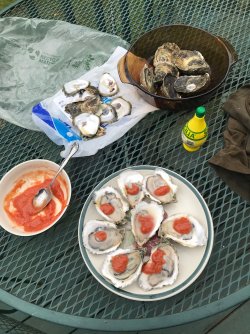 IMG_9775.jpeg