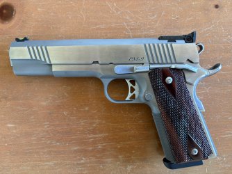 DW PM-1.jpg