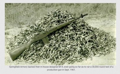 M14 endurance test.jpg