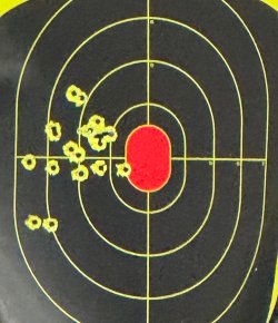 Federal 85gr 5yd 070525.jpeg