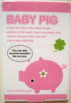 beautiful-pig.jpg