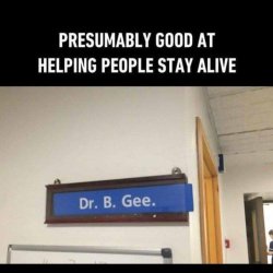 bee-gee.jpg