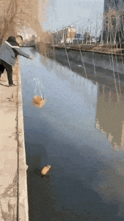 1000005845.gif