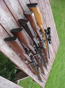 1903 Collection 4.JPG