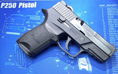 P250 No Serial.jpg