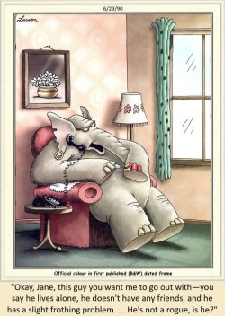 rogue elephant.jpg