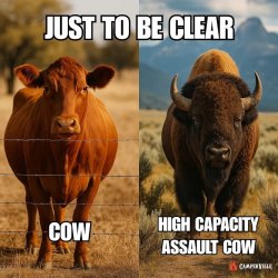 Assault cow.jpg