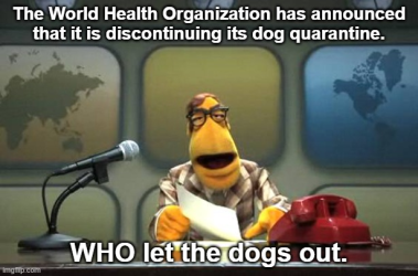 1752258756414.png