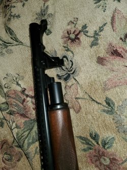 20200711_180954.jpg