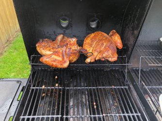 IMG_2260.jpeg