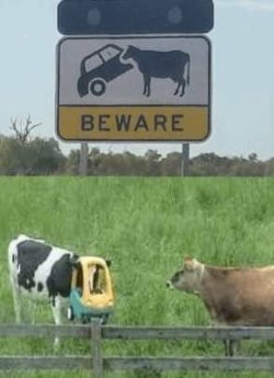 beware2.jpg
