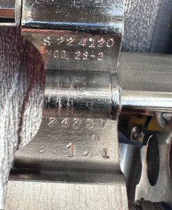 IMG_8273.jpeg