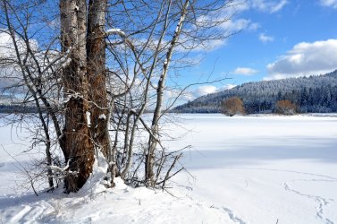 DSC_0748.JPG