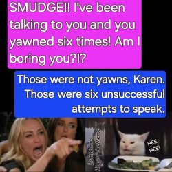 smudge yawn.jpg