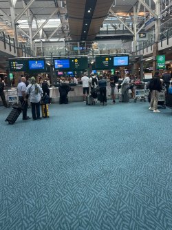 IMG_4046.jpeg