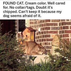 655641-65b29746067f929edef0741892171f55.jpeg
