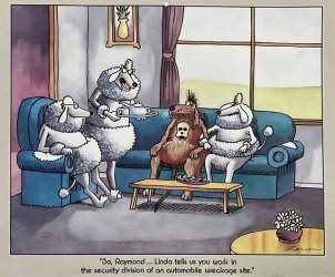 raymond dog.jpg