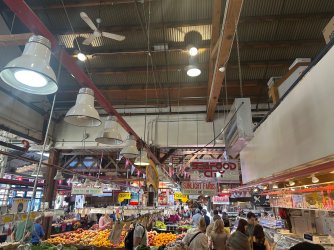 IMG_4135.jpeg