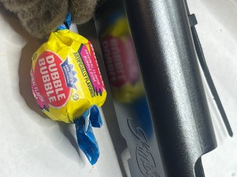 IMG_8893.jpeg