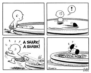 peanuts dhark.jpg