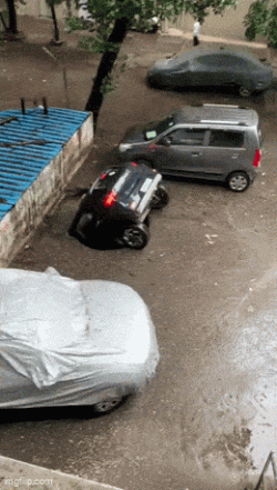 1000006029.gif