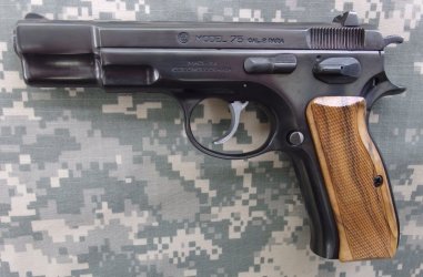 cz 75.JPG