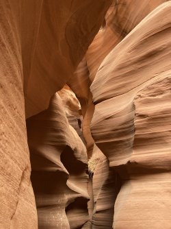 IMG_0564.jpg