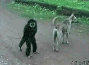 1752675252390.gif