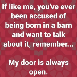 borninbarn.png